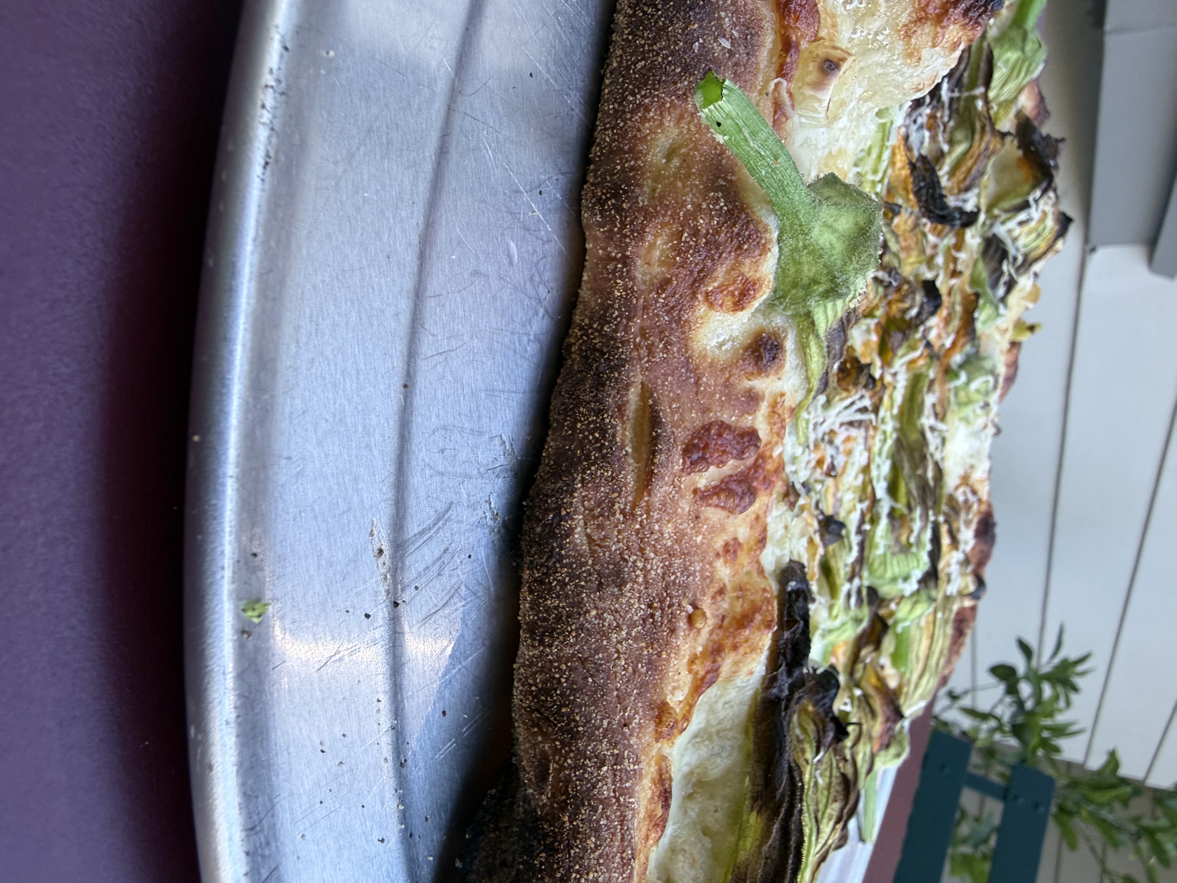Close-up of a squash blossom and ramp cream sauce pizza slice edge, showing the charred, semolina-dusted crust